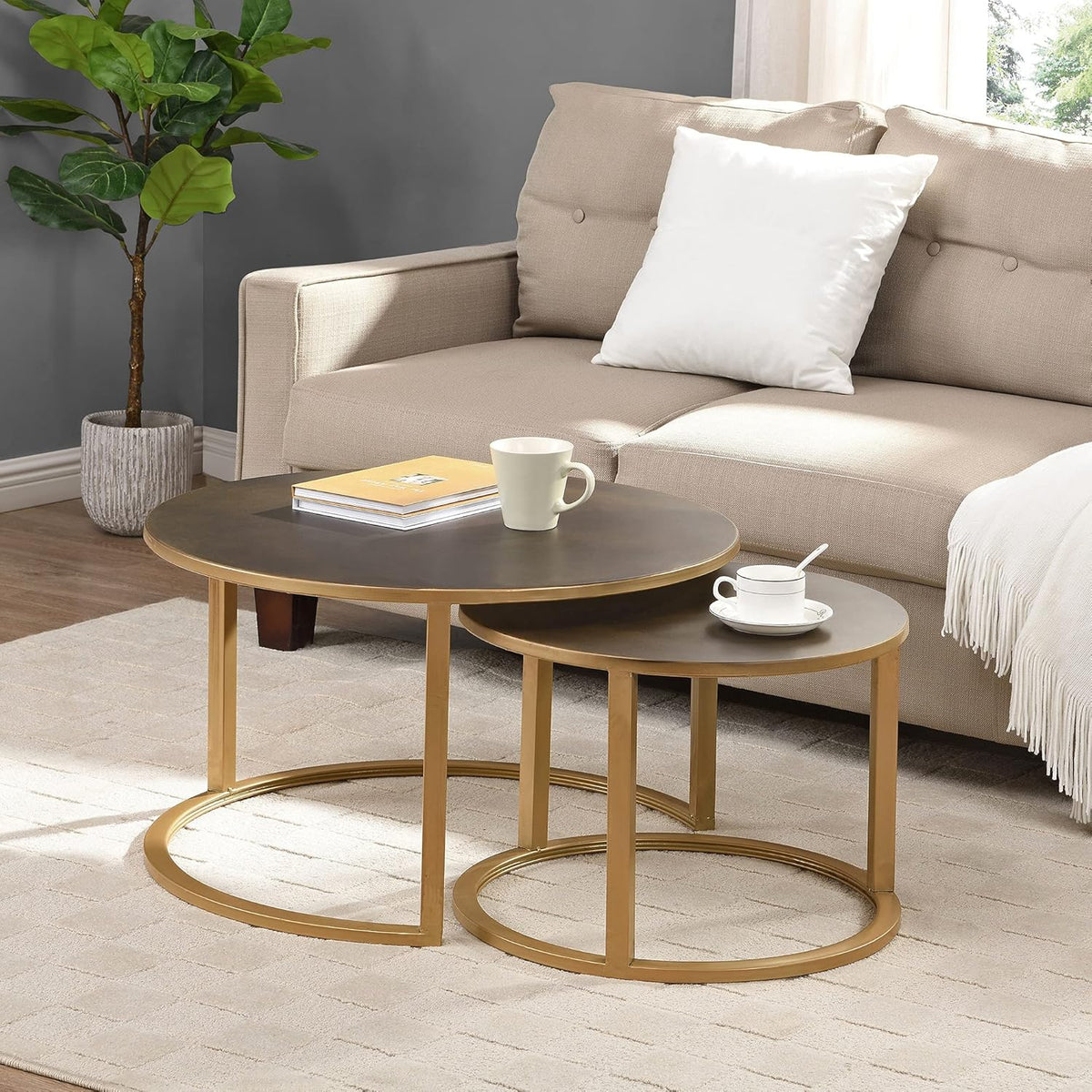 Silver Nesting Coffee Table 2-Piece Set M1207