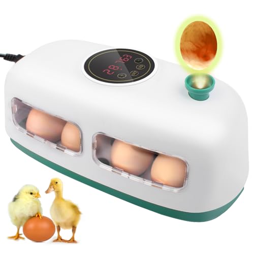 12-24 Poultry Incubator with Automatic Egg Turning and Temperature Control E465