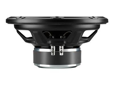 10 Inch 2 Ohm Car Subwoofer P15224