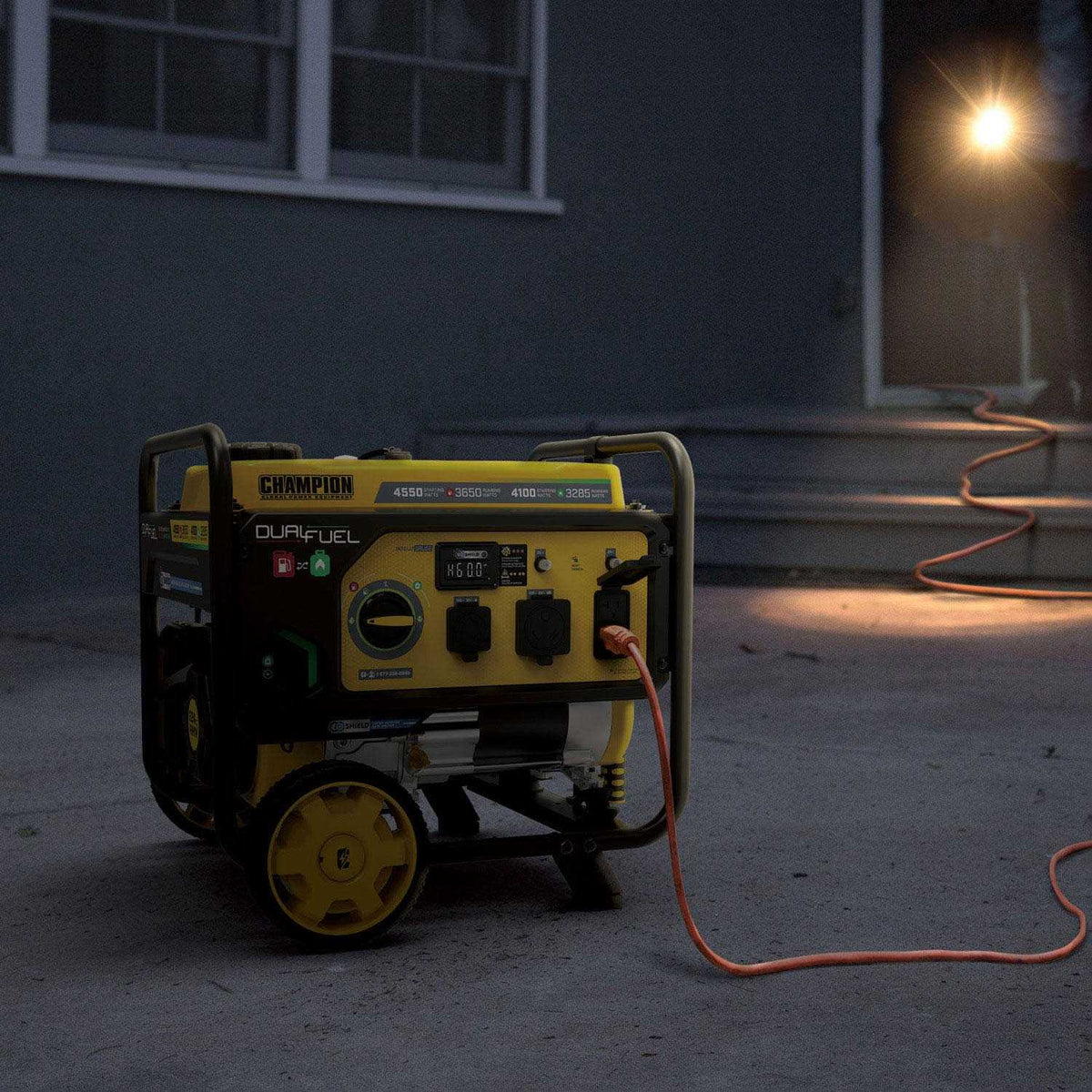 3650 W Dual Fuel Generator T44733