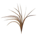 Pheasant Tails 50 - 60x22 V24459