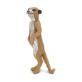 Meerkats R12862