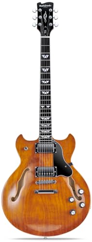 Semi Hollow Body Electric Guitar with 6 String Y1113