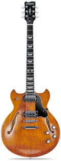 Semi Hollow Body Electric Guitar with 6 String Y1113