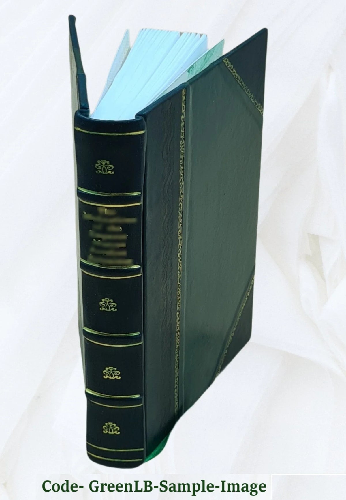 Leather Bound Book U652589