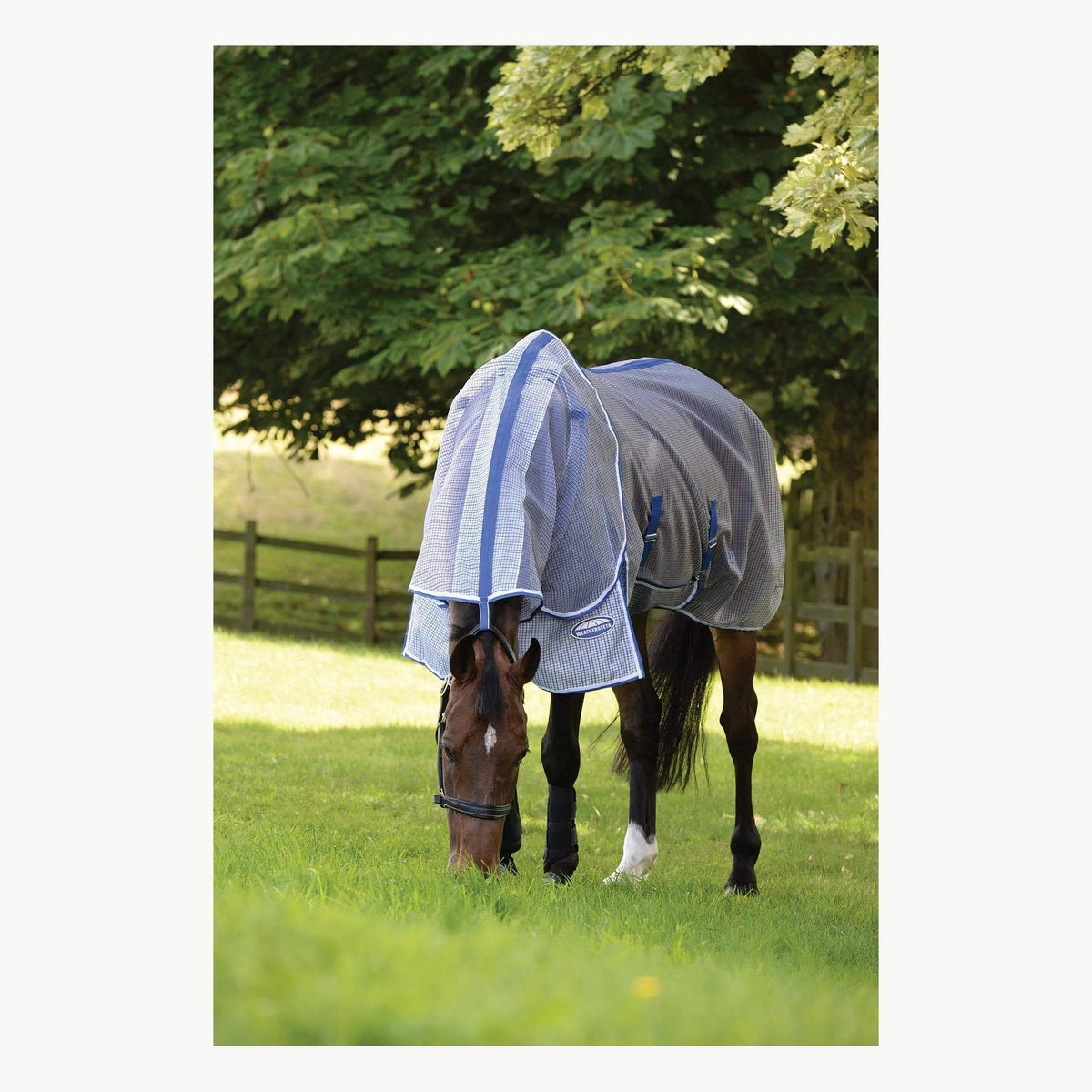 White/Blue Ripshield Detach-A-Neck Fly Sheet I810