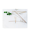 Winter Foliage Canvas Art N8905