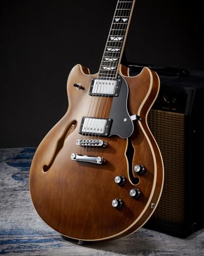 Semi Hollow Body Electric Guitar with 6 String Y1113