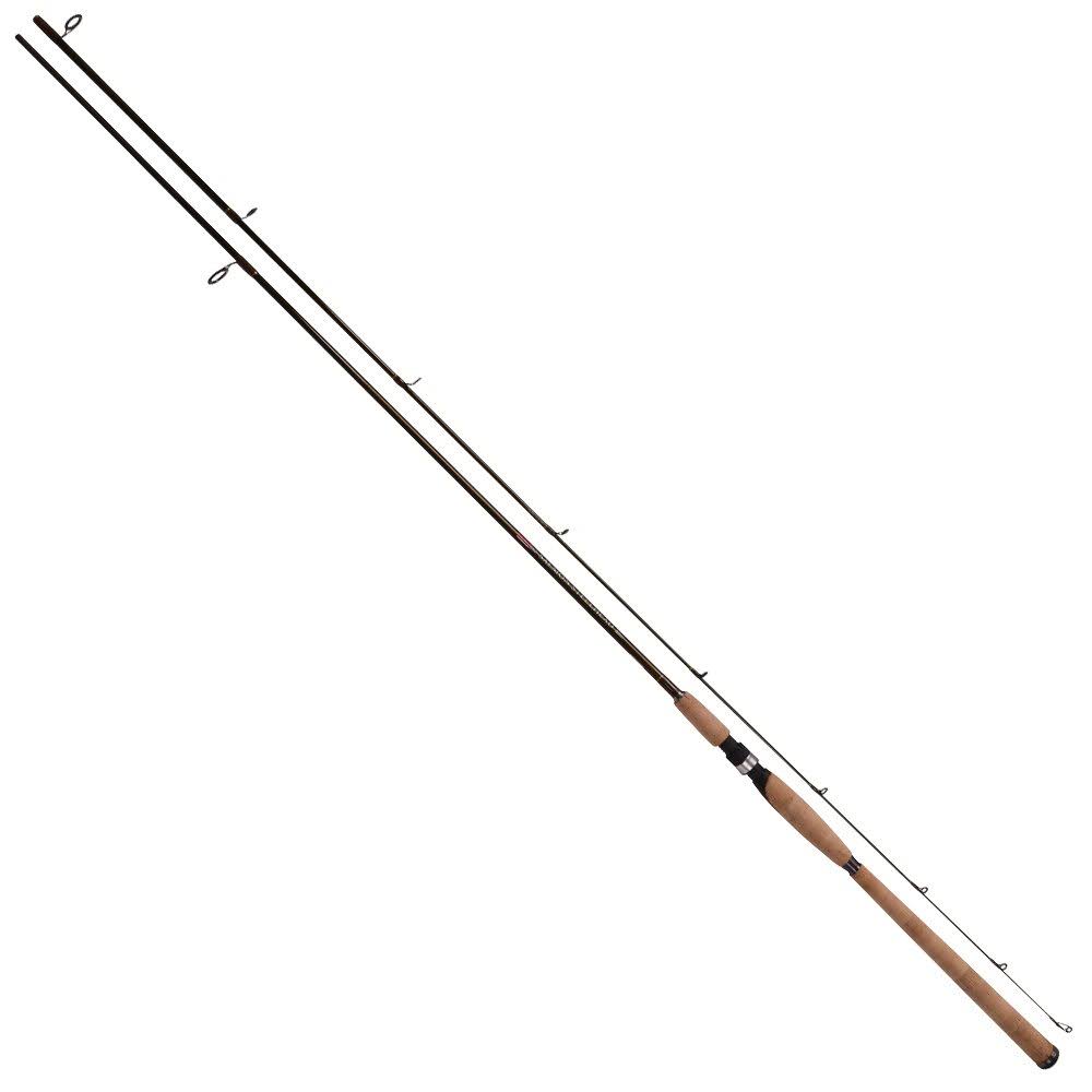 Salmon Steelhead Spinning Fishing Rod G39143