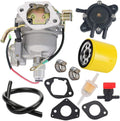 Carburetor with Fuel Pump Oil Filter Pack of 2 V34734