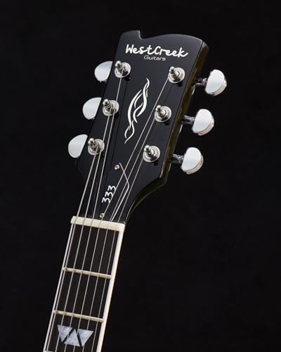 Semi Hollow Body Electric Guitar with 6 String Y1113