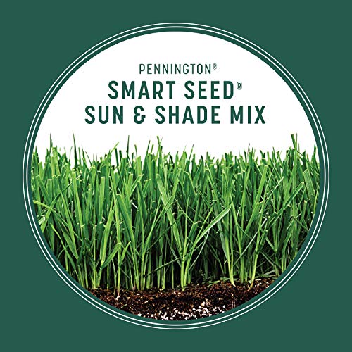 20 lb Grass Mix F21491