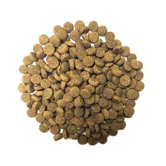 Ancient Grains with Ocean Fish Dog Food F67369