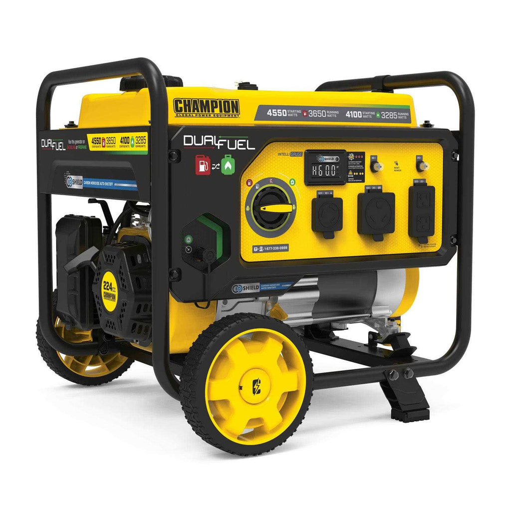 3650 W Dual Fuel Generator T44733