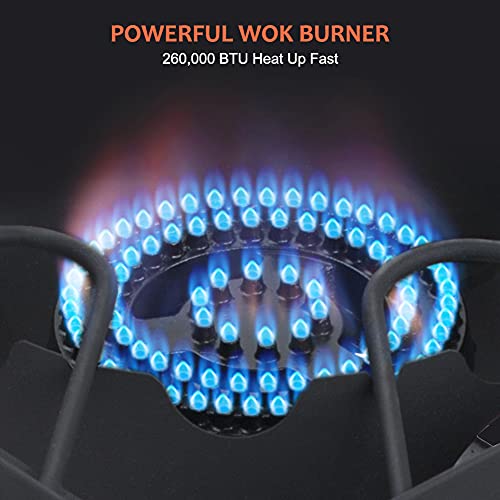 Propane Burner with 29,000 BTU, Single Burner Propane Stove with Regulator and 5.9ft Hose, Cast Iron Burner C594465
