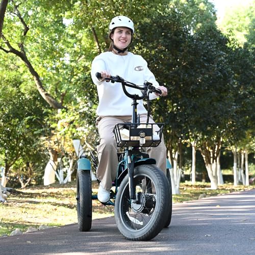 20" x 4" Fat Tire Electric Tricycle with Removable Battery P2560