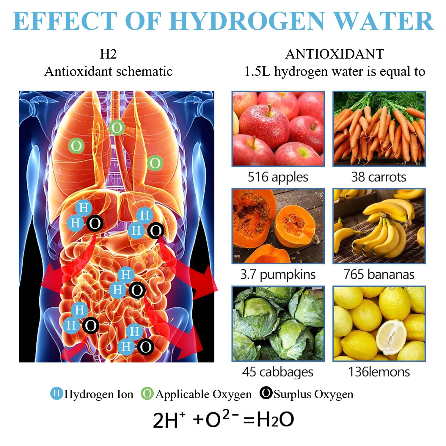 1.5L Hydrogen Water Bottle G17774