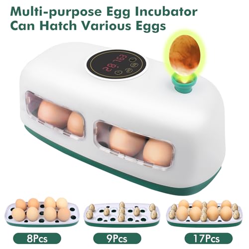 12-24 Poultry Incubator with Automatic Egg Turning and Temperature Control E465