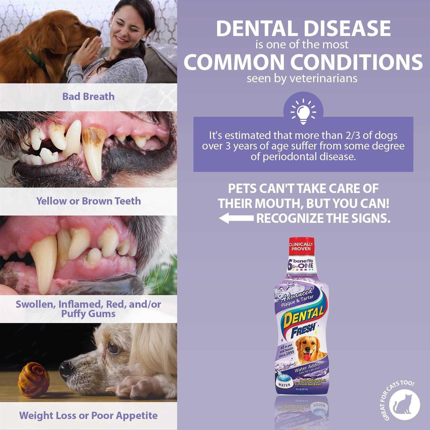 Dental Fresh Advanced Plaque & Tartar Water Additive for Dogs B833593