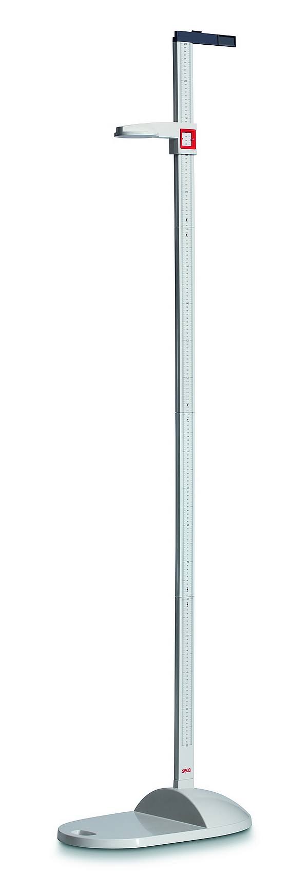 Portable Stadiometer W999