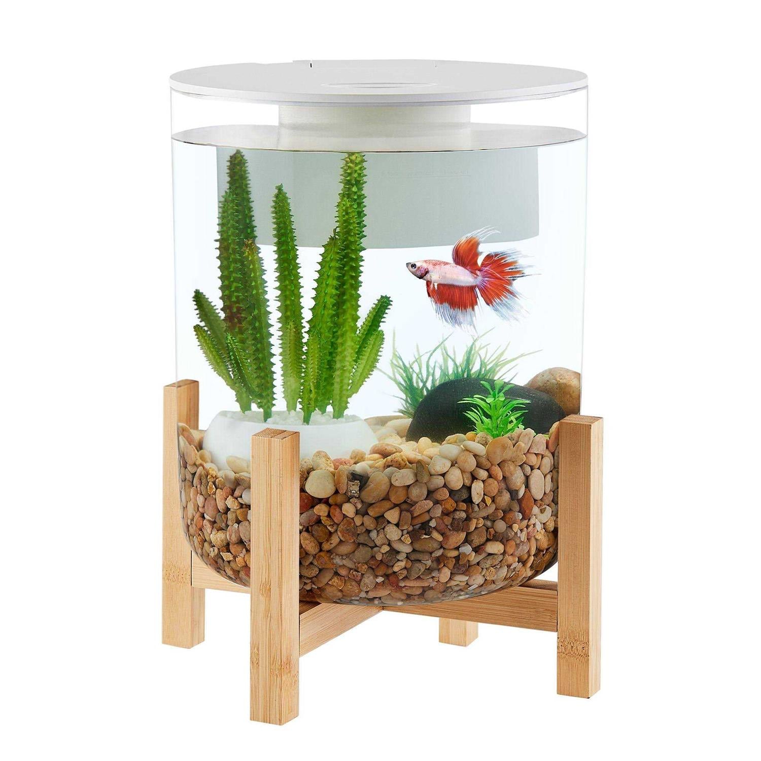 Bamboo Baseal Aquarium I867050
