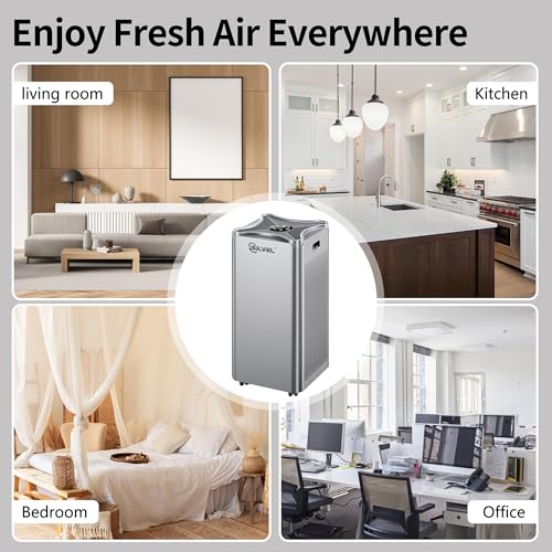 Air Purifier with Washable H13 HEPA Filter Z96517