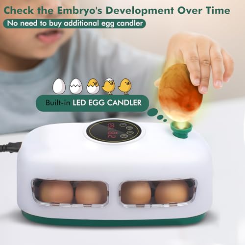 12-24 Poultry Incubator with Automatic Egg Turning and Temperature Control E465