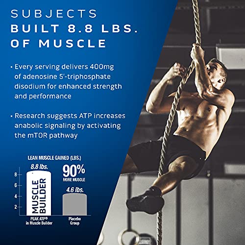 30 Capsules Nitric Oxide Supplement K7239