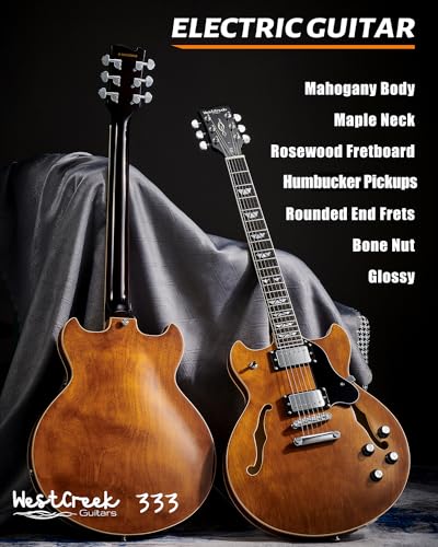 Semi Hollow Body Electric Guitar with 6 String Y1113
