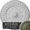 15 3/4 inch x 2 inch Ceiling Medallion Hand-Painted Witch Hazel F557309