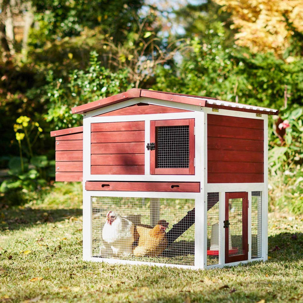 Wooden Outdoor Chicken Coop L35326