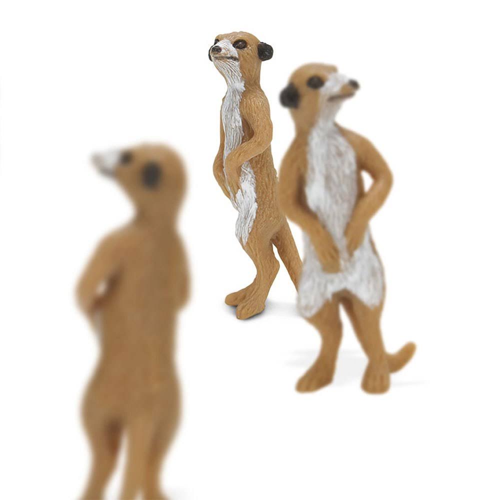 Meerkats R12862