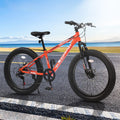 24" Mountain Bike with Shimano 7 Speeds Suspension Steel Frame X967