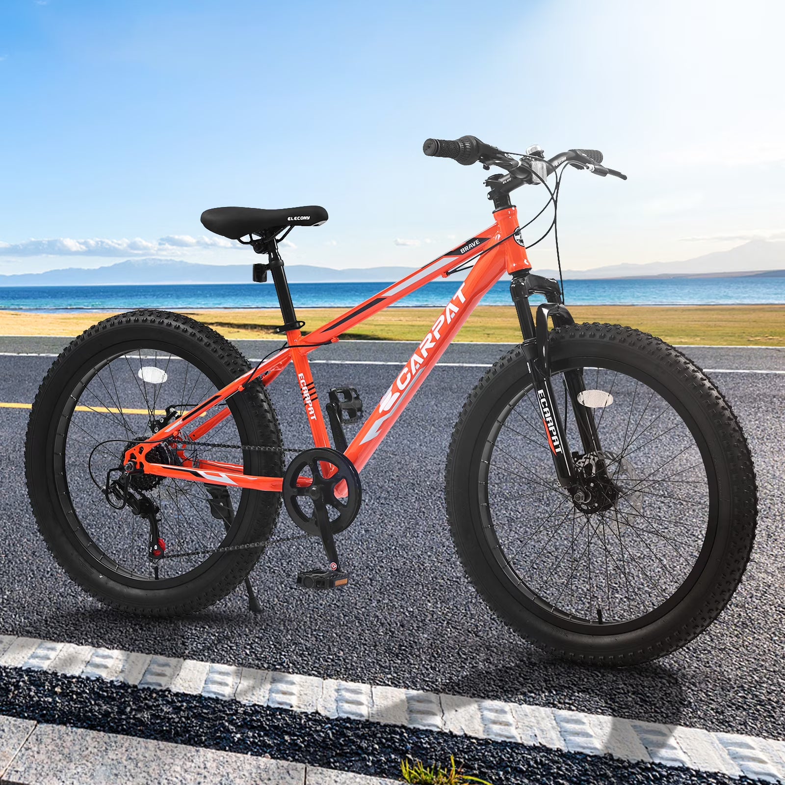 24" Mountain Bike with Shimano 7 Speeds Suspension Steel Frame X967