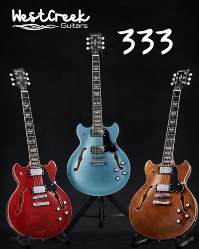 Semi Hollow Body Electric Guitar with 6 String Y1113