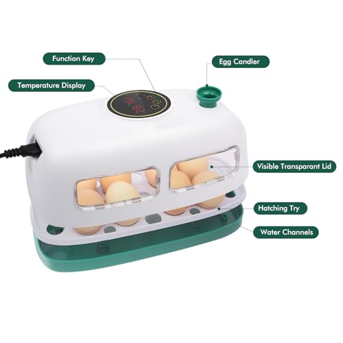 12-24 Poultry Incubator with Automatic Egg Turning and Temperature Control E465