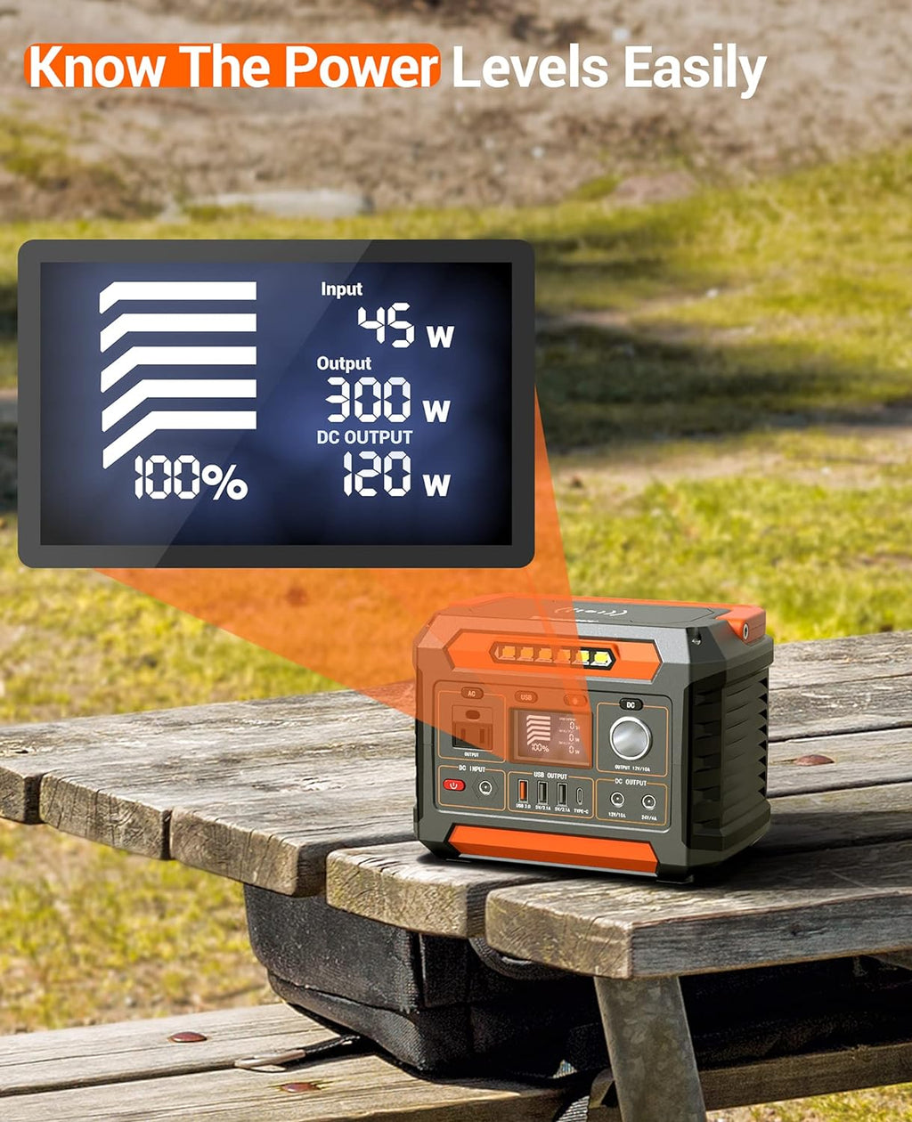 Portable Power Station 300W, 299Wh/80818mAh, Regulated DC Output, Pure Sine Wave, LED Light D910352