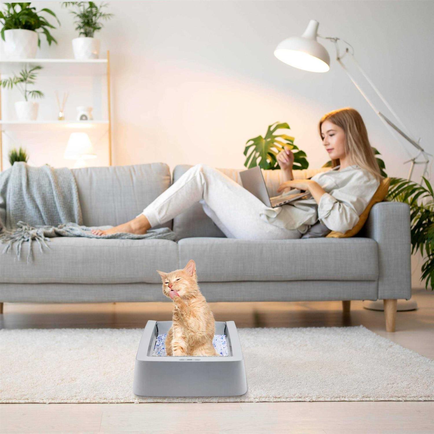 Stainless Steel Reusable Litter Tray O307539