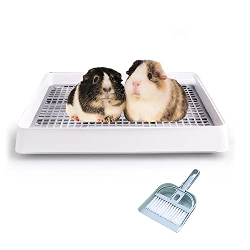 Rabbit Litter Box with Grate B458