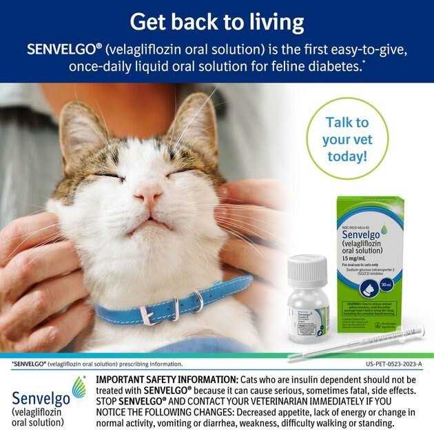 Senvelgo Oral Solution for Cats 15mg/ml J9632