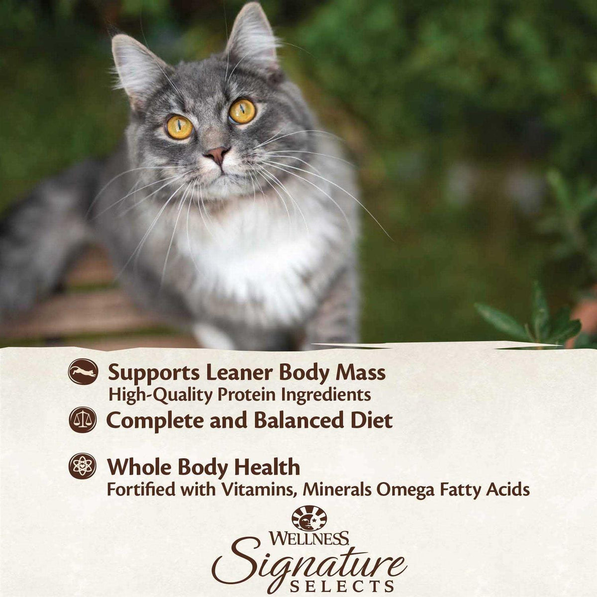 Poultry Selection Variety Pack Canned Cat Food P563813