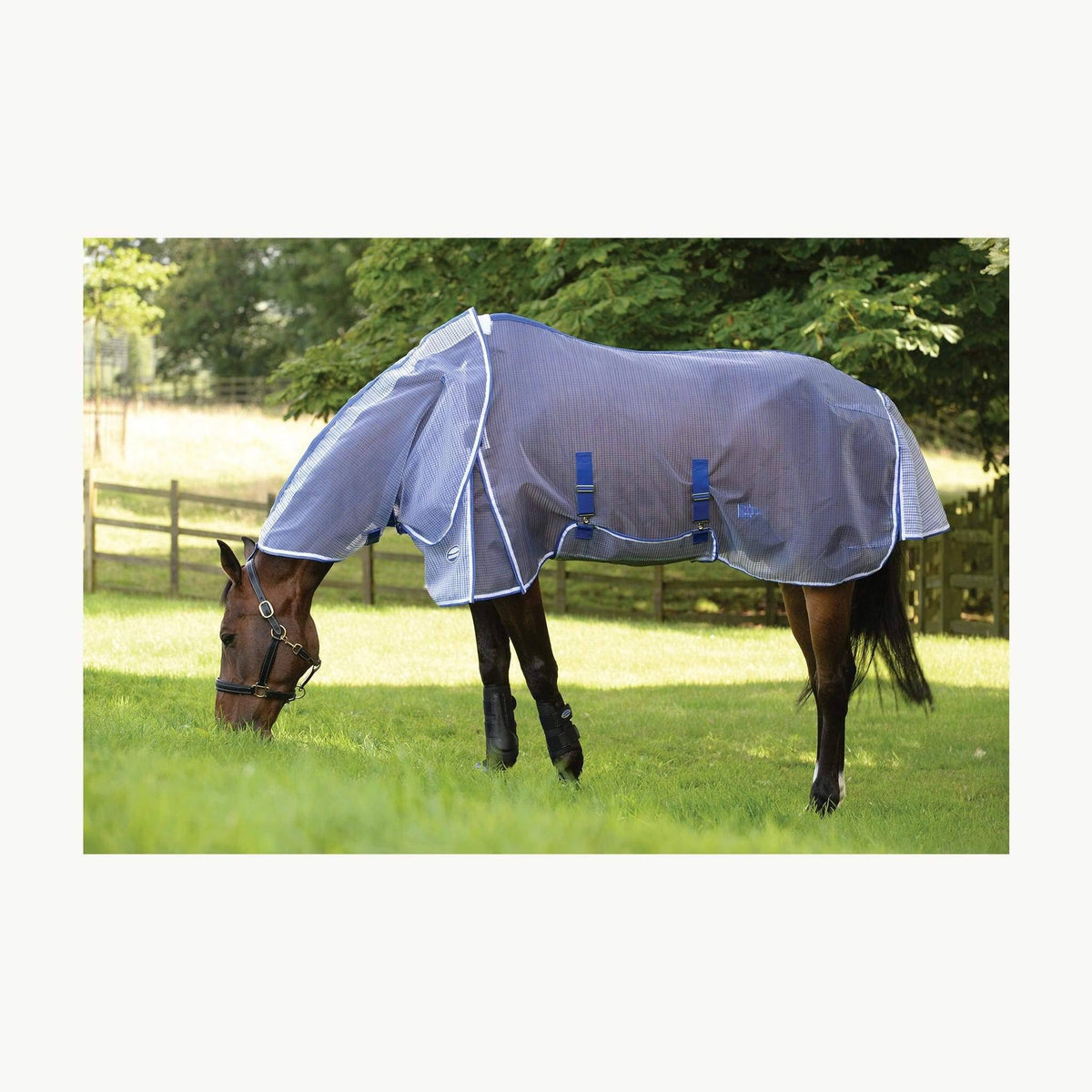 White/Blue Ripshield Detach-A-Neck Fly Sheet I810
