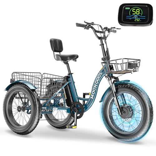 20" x 4" Fat Tire Electric Tricycle with Removable Battery P2560