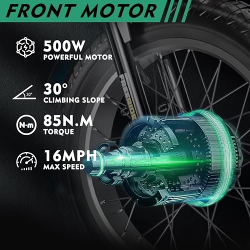 20" x 4" Fat Tire Electric Tricycle with Removable Battery P2560