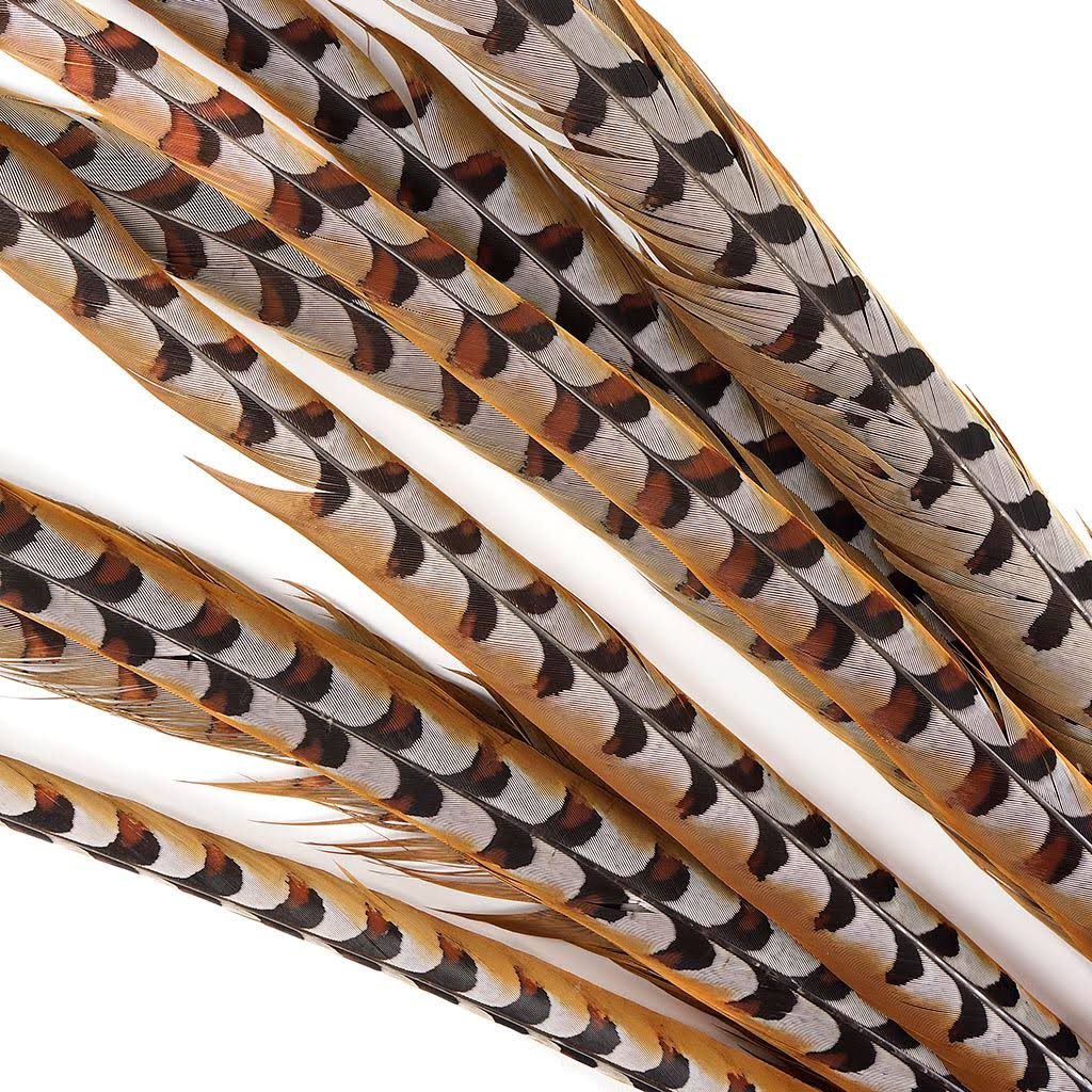 Pheasant Tails 50 - 60x22 V24459
