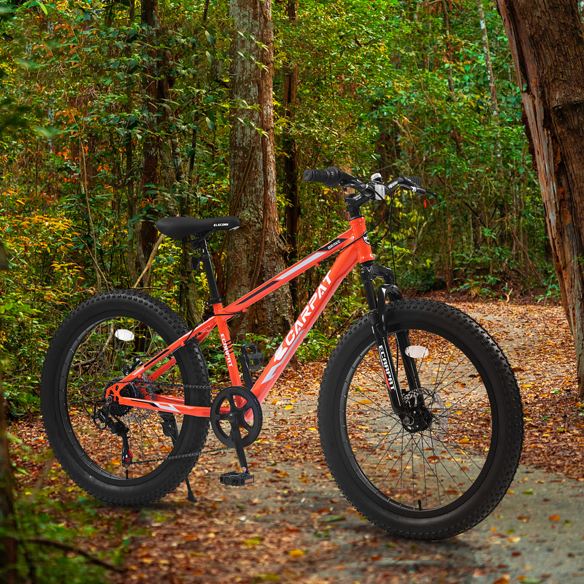 24" Mountain Bike with Shimano 7 Speeds Suspension Steel Frame X967