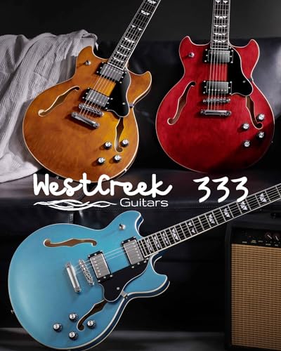Semi Hollow Body Electric Guitar with 6 String Y1113