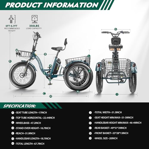 20" x 4" Fat Tire Electric Tricycle with Removable Battery P2560