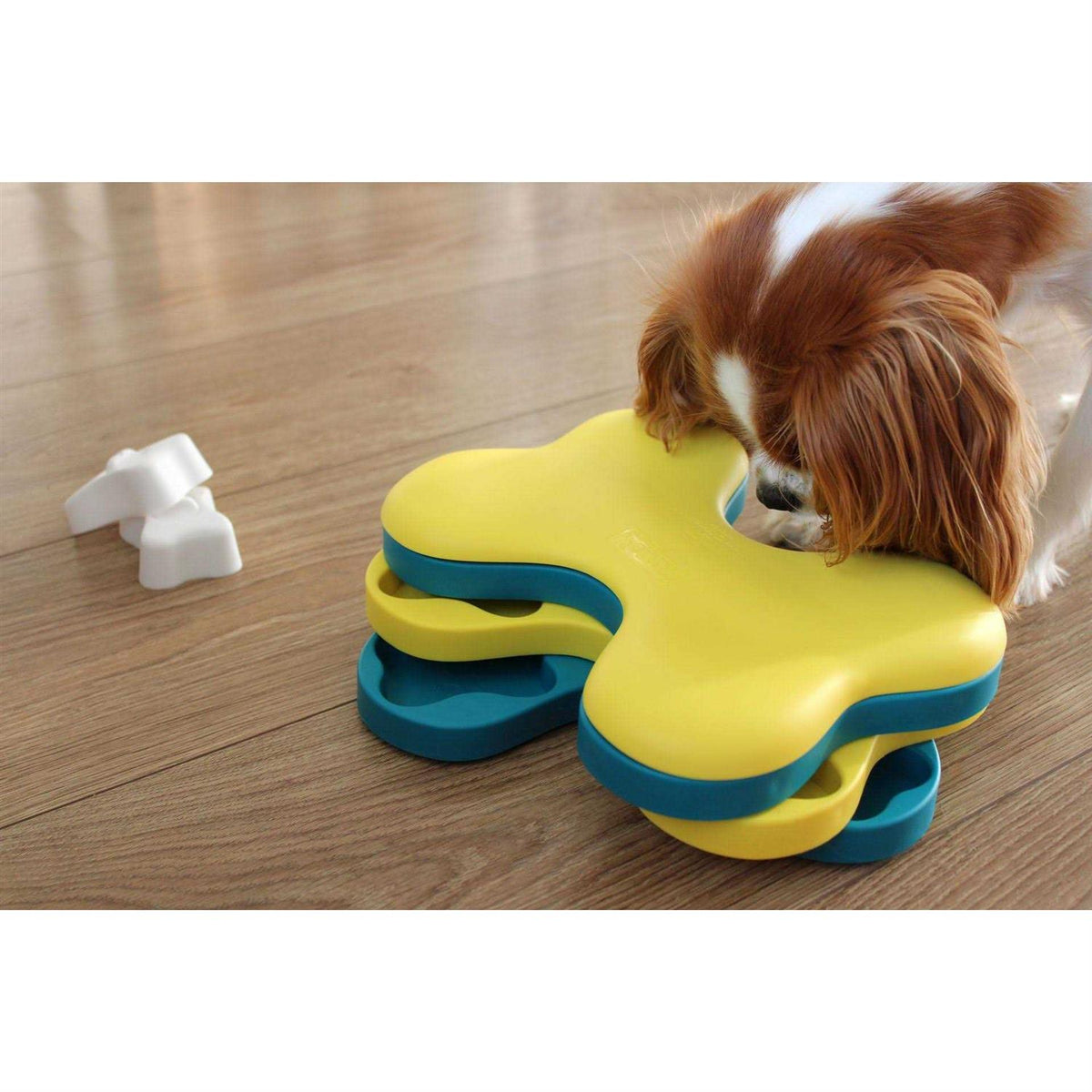 Dog Tornado Puzzle Toy P395