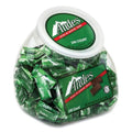 240 Pieces Chocolate Mint Thins X313157